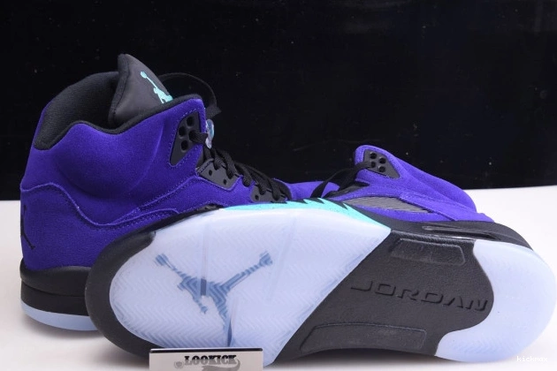 Rep Air Jordan Alternate 136027-500 Retro Grape 5 0811
